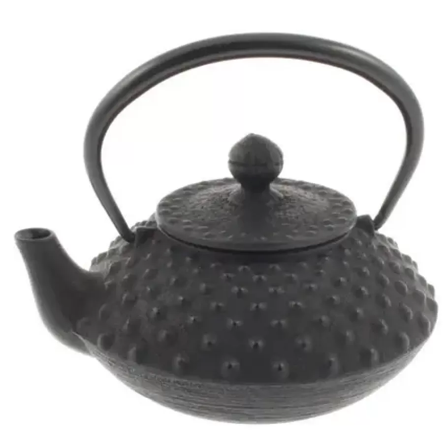 MIYA Company Teapots - Cast Iron^Cast Iron Teapot Flat Hailstone 0.35L