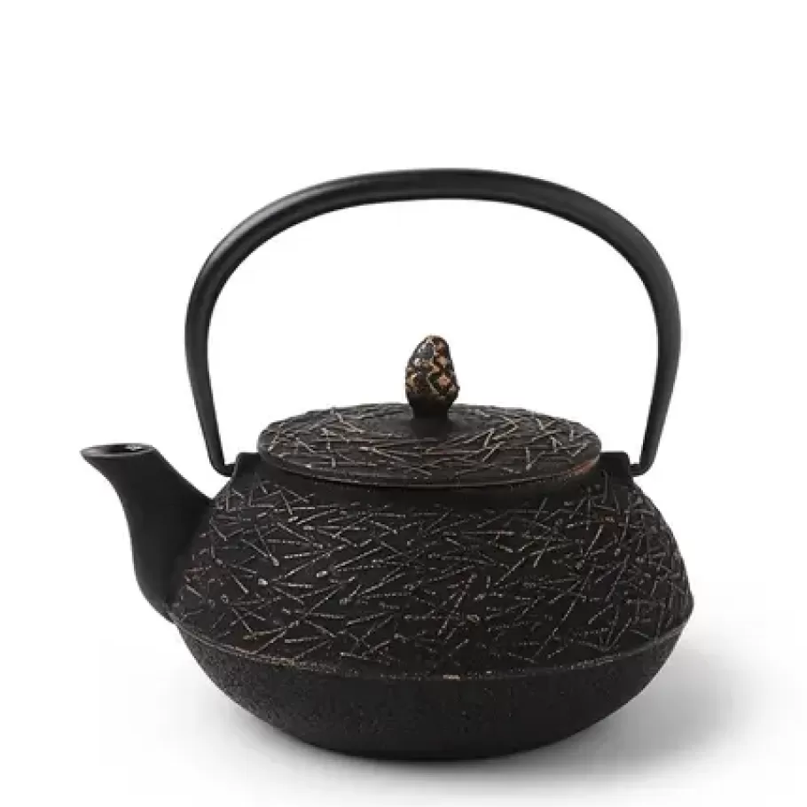 MIYA Company Teapots - Cast Iron^Cast Iron Teapot 0.65L