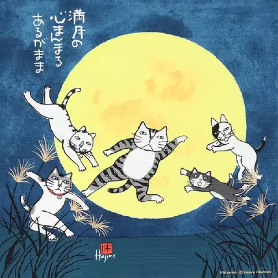 MIYA Company Cats^Furoshiki Kabamaru Cat Moon 19.75" Sq.