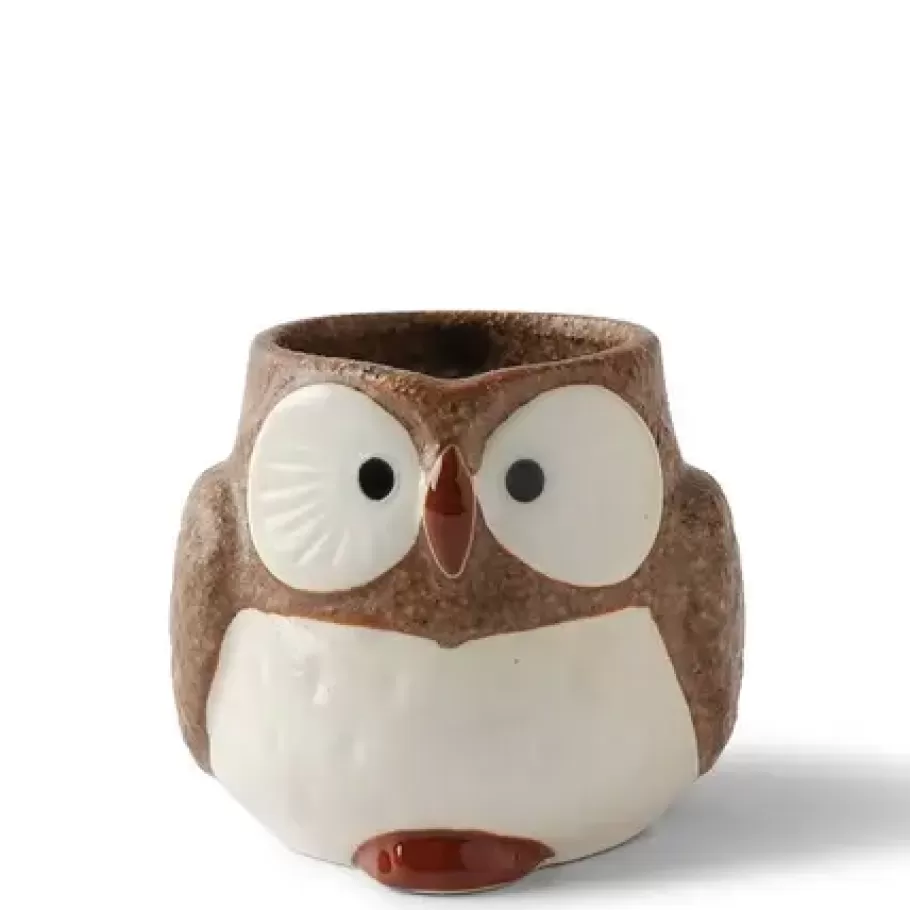 MIYA Company Cups/Mugs^Mug Owl Brown 11 Oz.