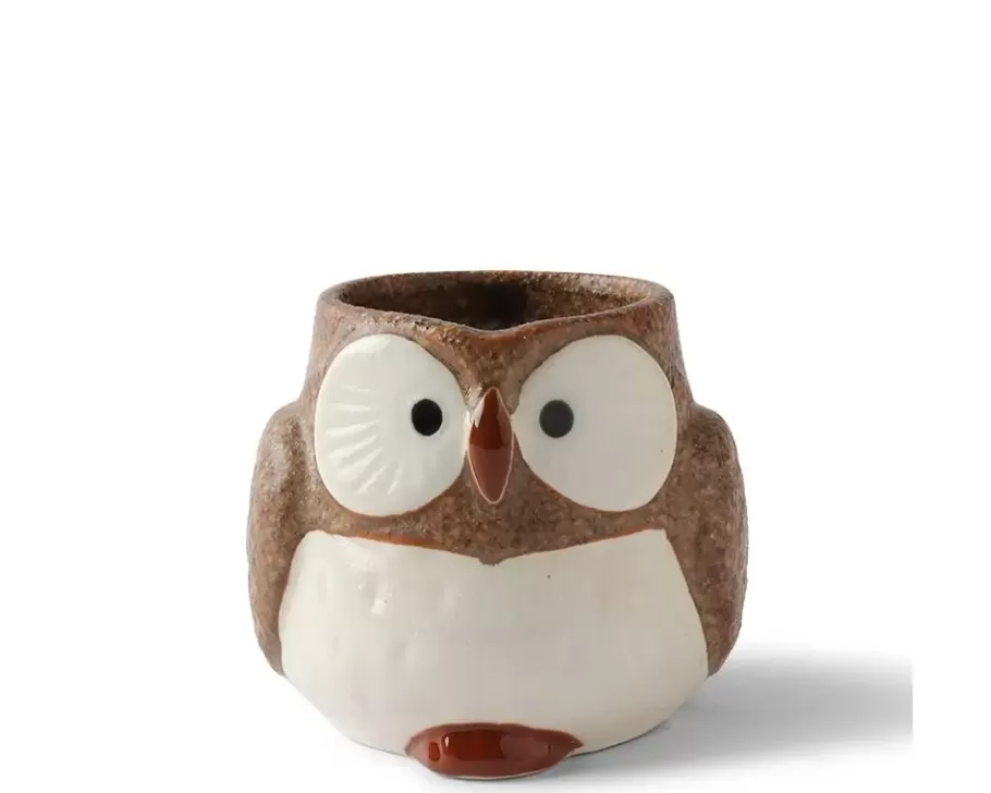 MIYA Company Cups/Mugs^Mug Owl Brown 11 Oz.