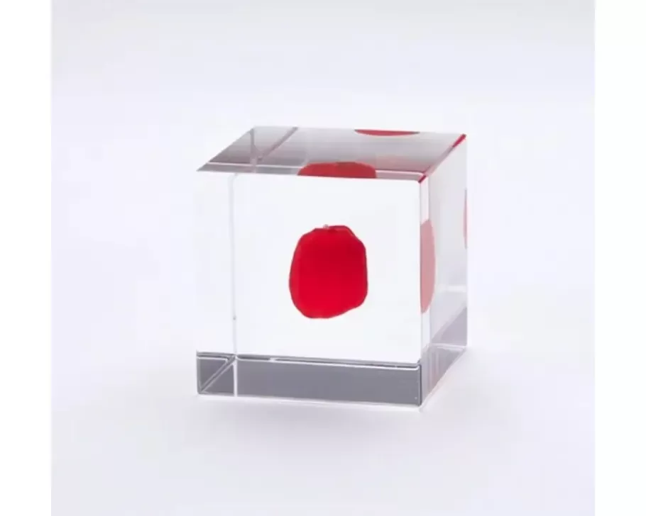 MIYA Company Desk Accessories^Sola Cube Huayruro Seed